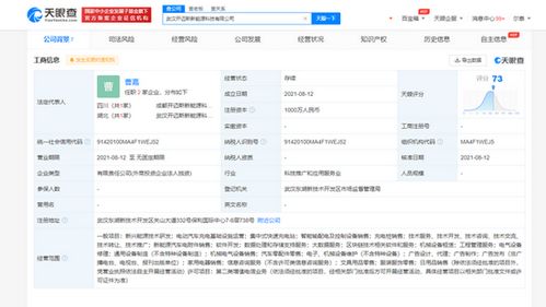 大眾、一汽、江淮等聯(lián)手，武漢開(kāi)邁斯新能源科技公司成立聚焦新興能源技術(shù)研發(fā)